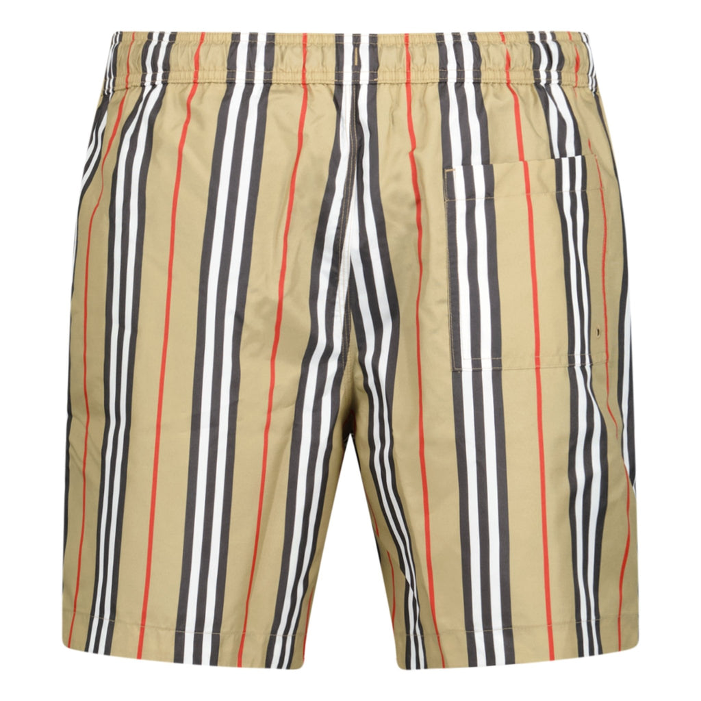 Burberry Striped Check Print Swim Shorts - chancefashionco